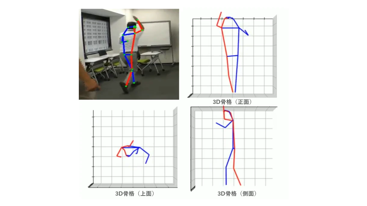 Skeleton Detection Features
