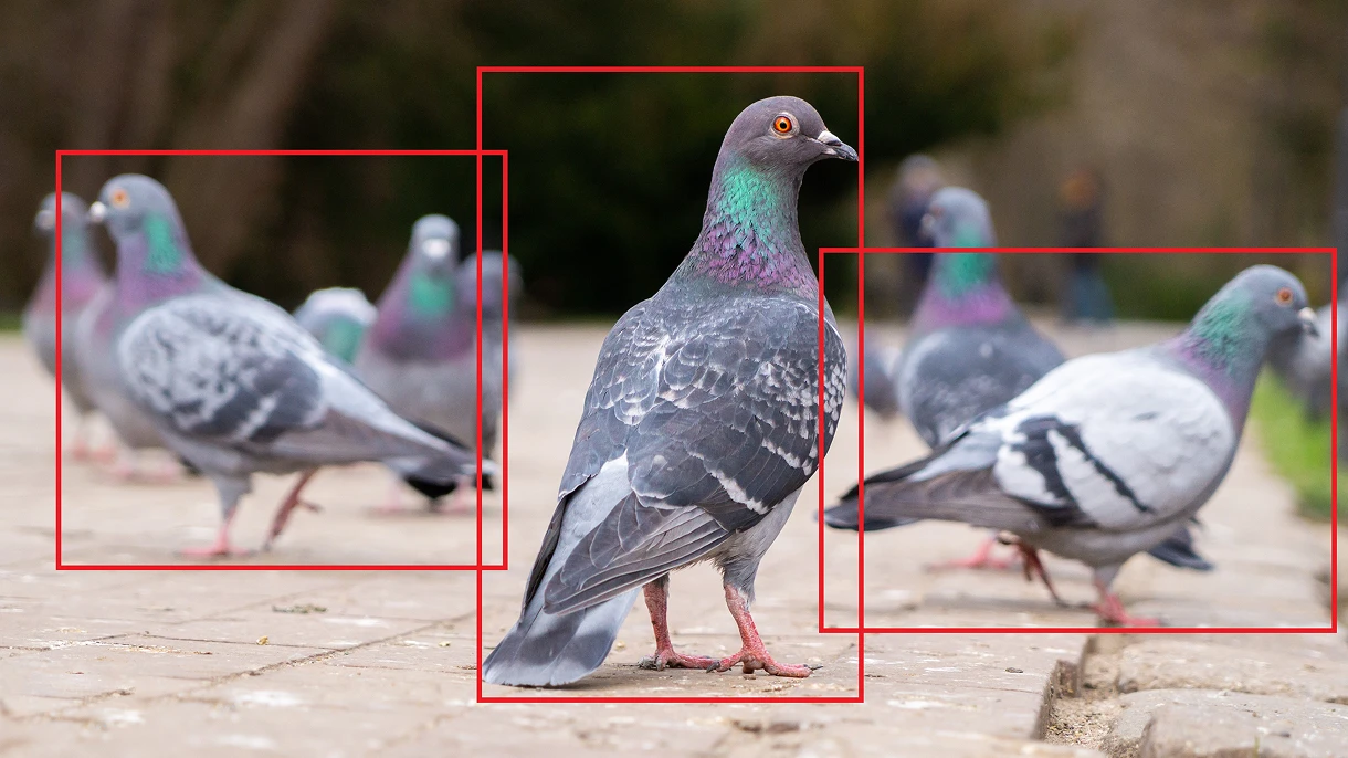Object Sensing Main Function